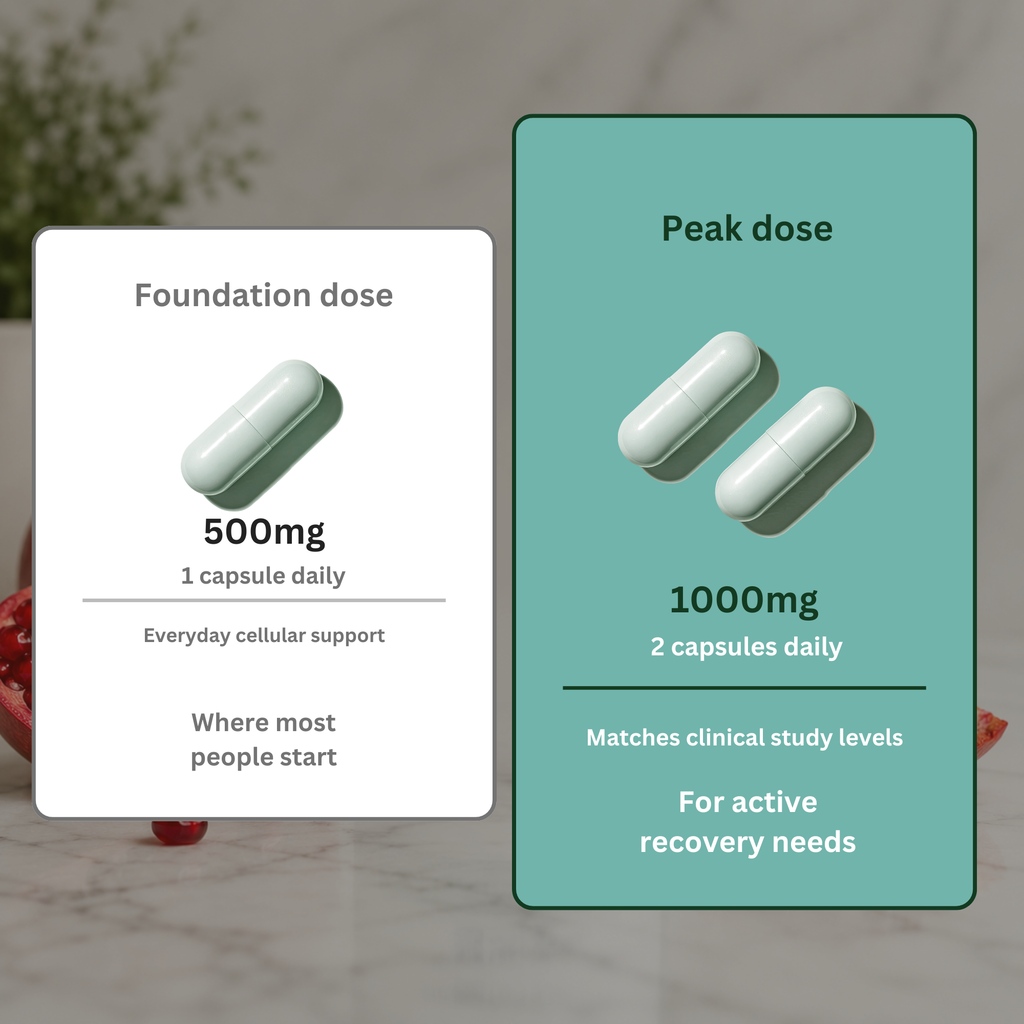 Urolithin A - 500mg | 98% Purity | 60 Capsules