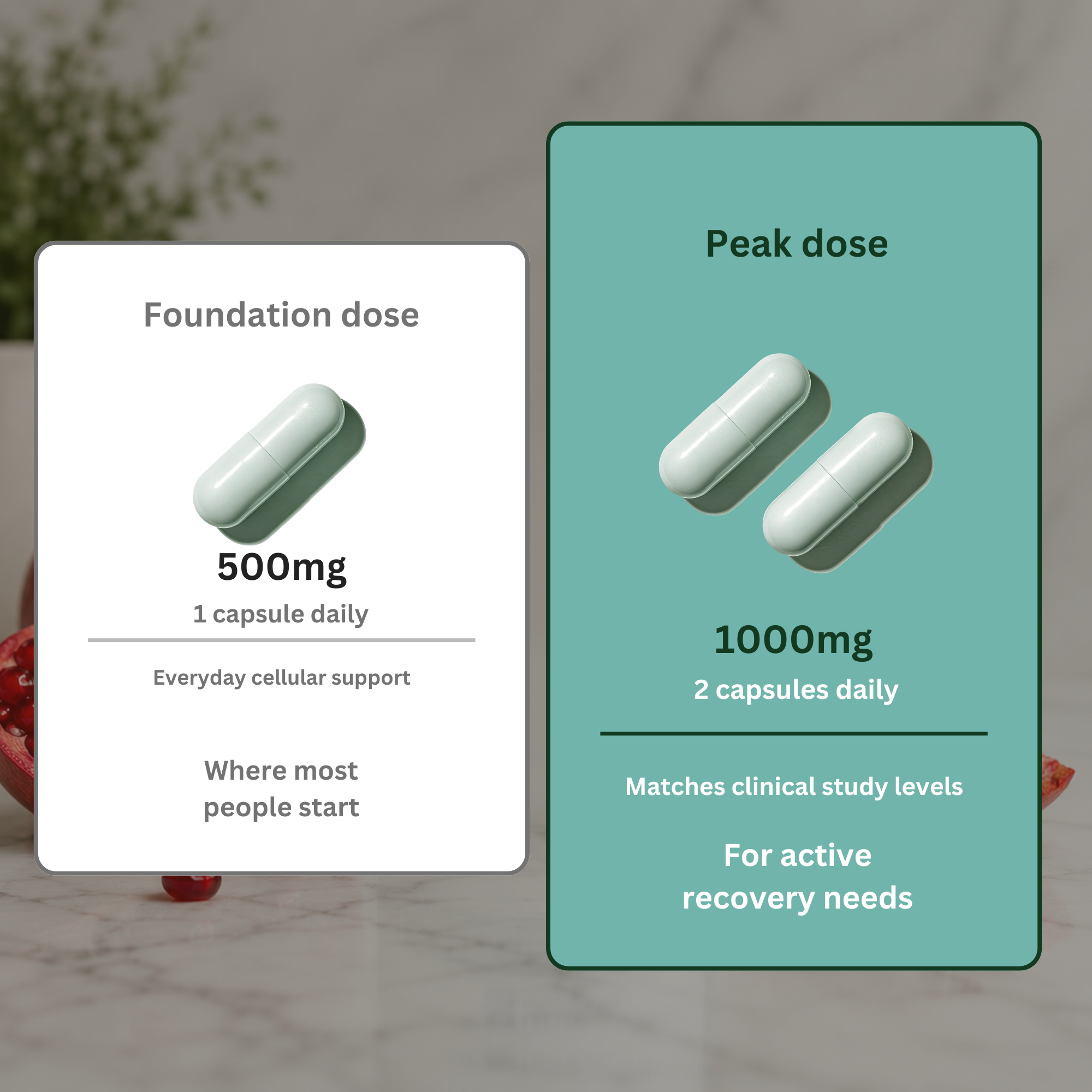 Urolithin A - 500mg | 98% Purity | 60 Capsules