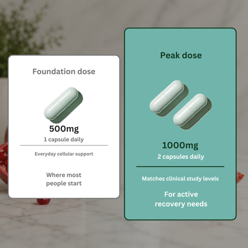 Urolithin A - 500mg | 98% Purity | 60 Capsules