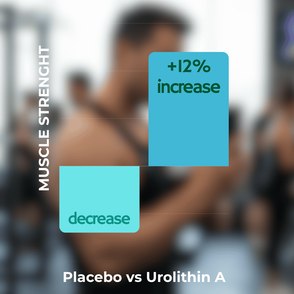 Blurred gym setting with text about muscle strength increase and decrease comparison between Urolithin A and placebo.