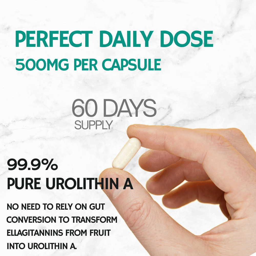 Hand holding a capsule with text about a 'Perfect Daily Dose' supplement on a white background.